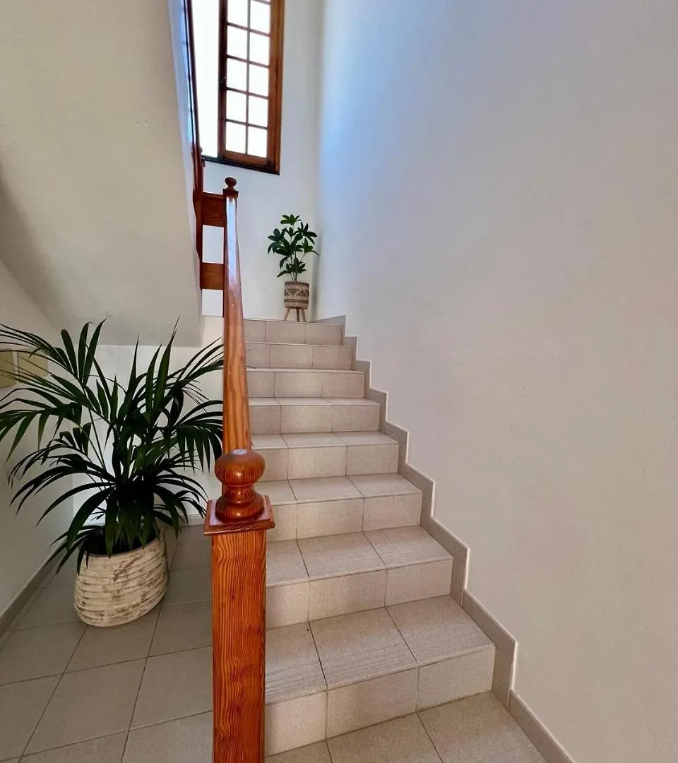 Apartamento Celma Costa Adeje  Costa Adeje (Tenerife)